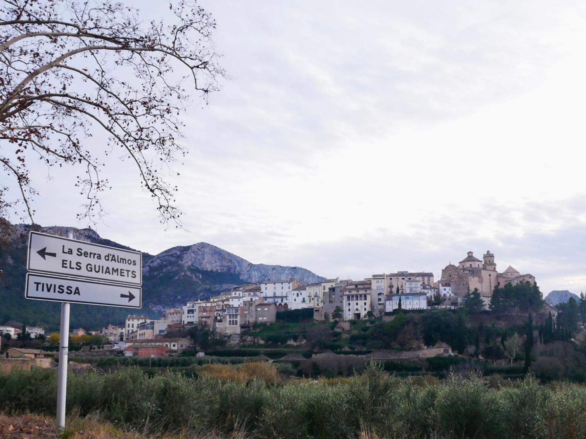 Apartament Rural Monetze Tivissa Dış mekan fotoğraf