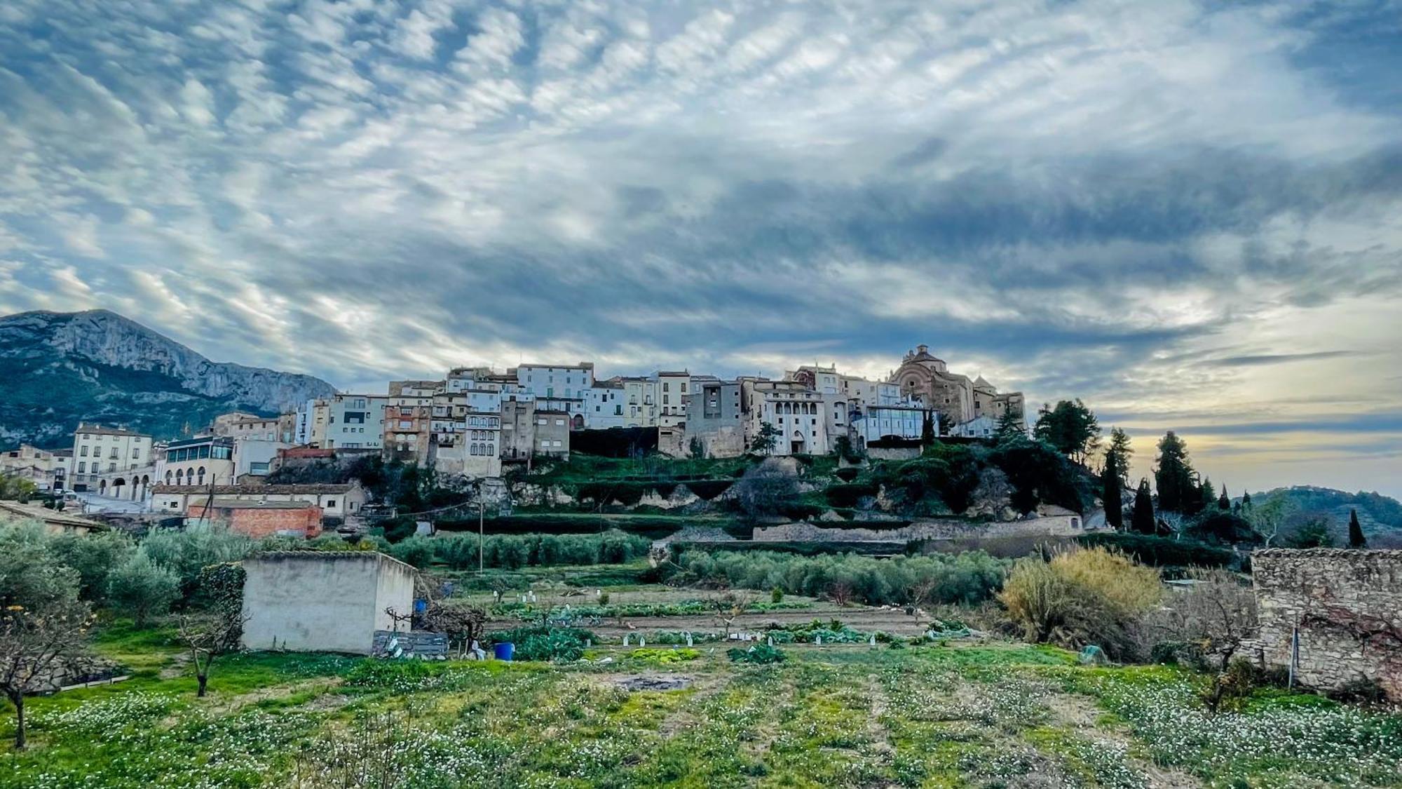 Apartament Rural Monetze Tivissa Dış mekan fotoğraf