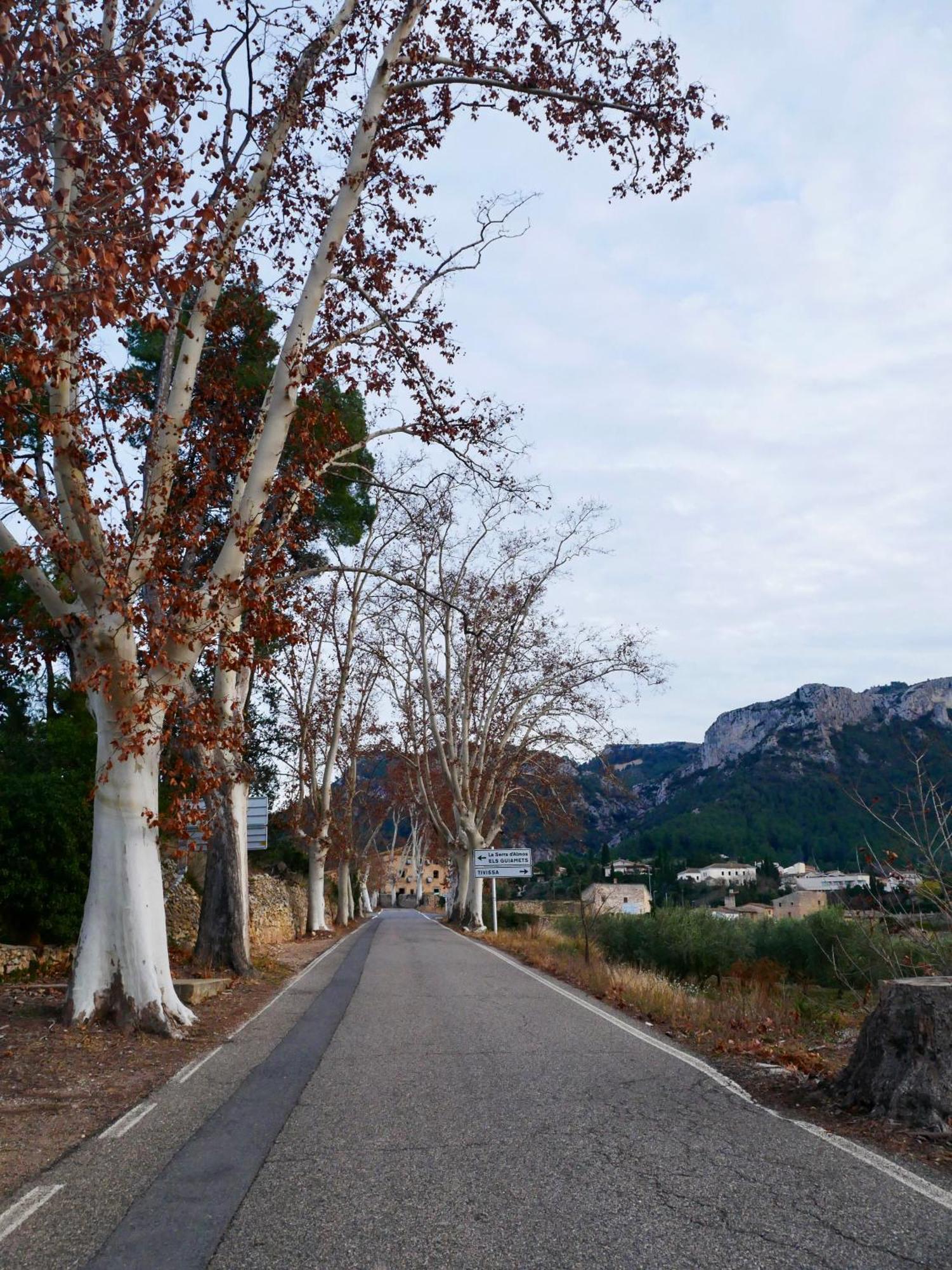Apartament Rural Monetze Tivissa Dış mekan fotoğraf