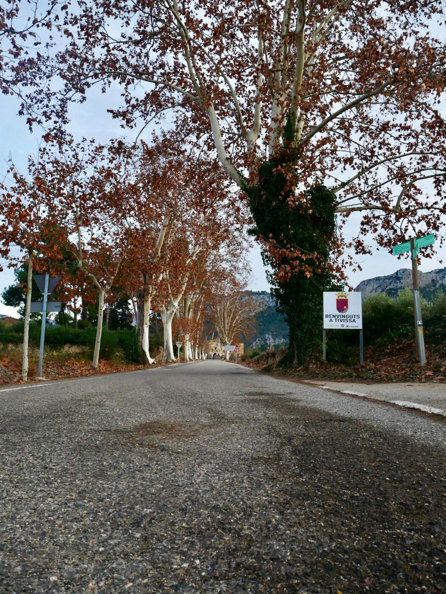 Apartament Rural Monetze Tivissa Dış mekan fotoğraf